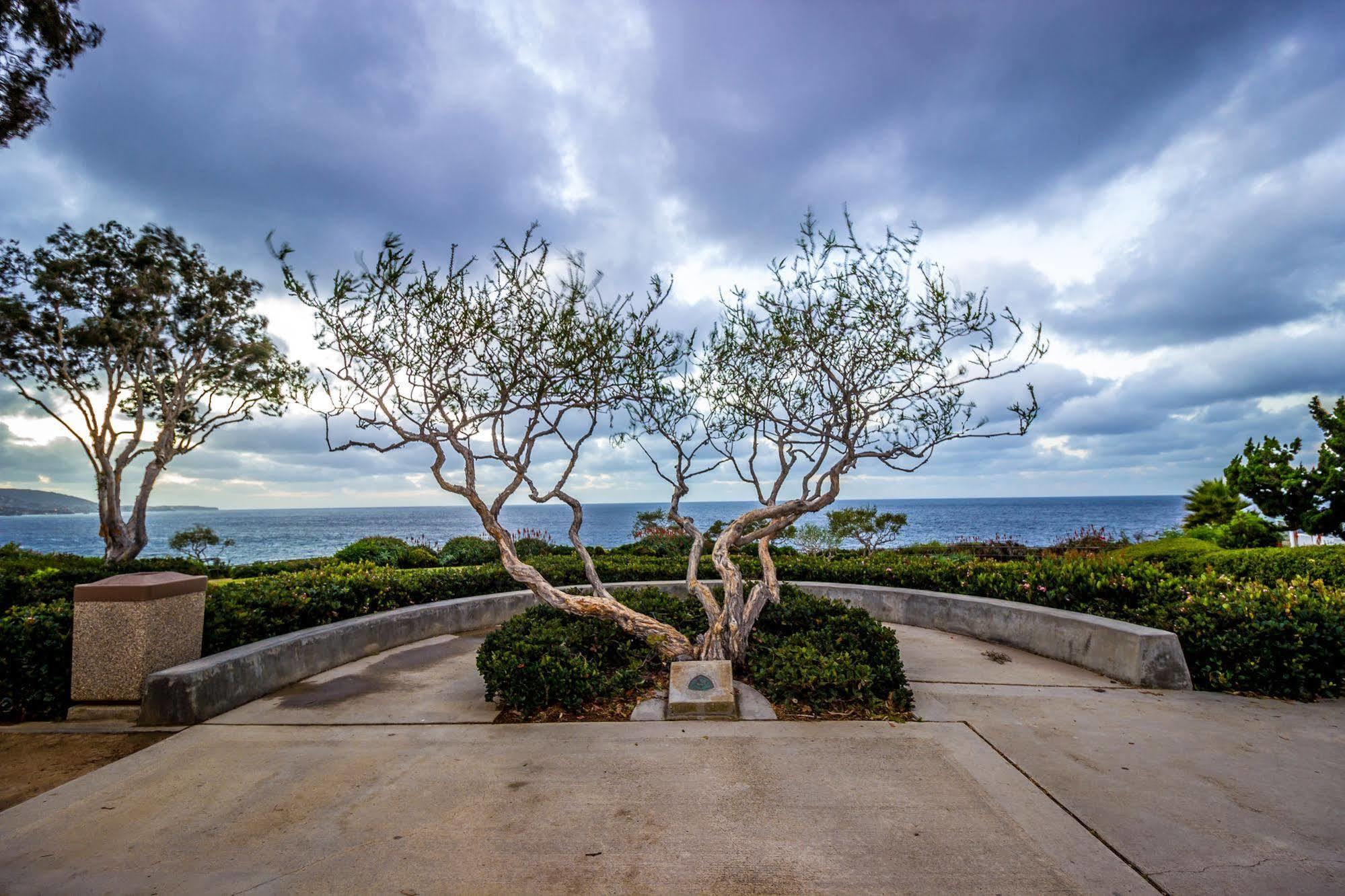 Art Hotel Laguna Beach Esterno foto